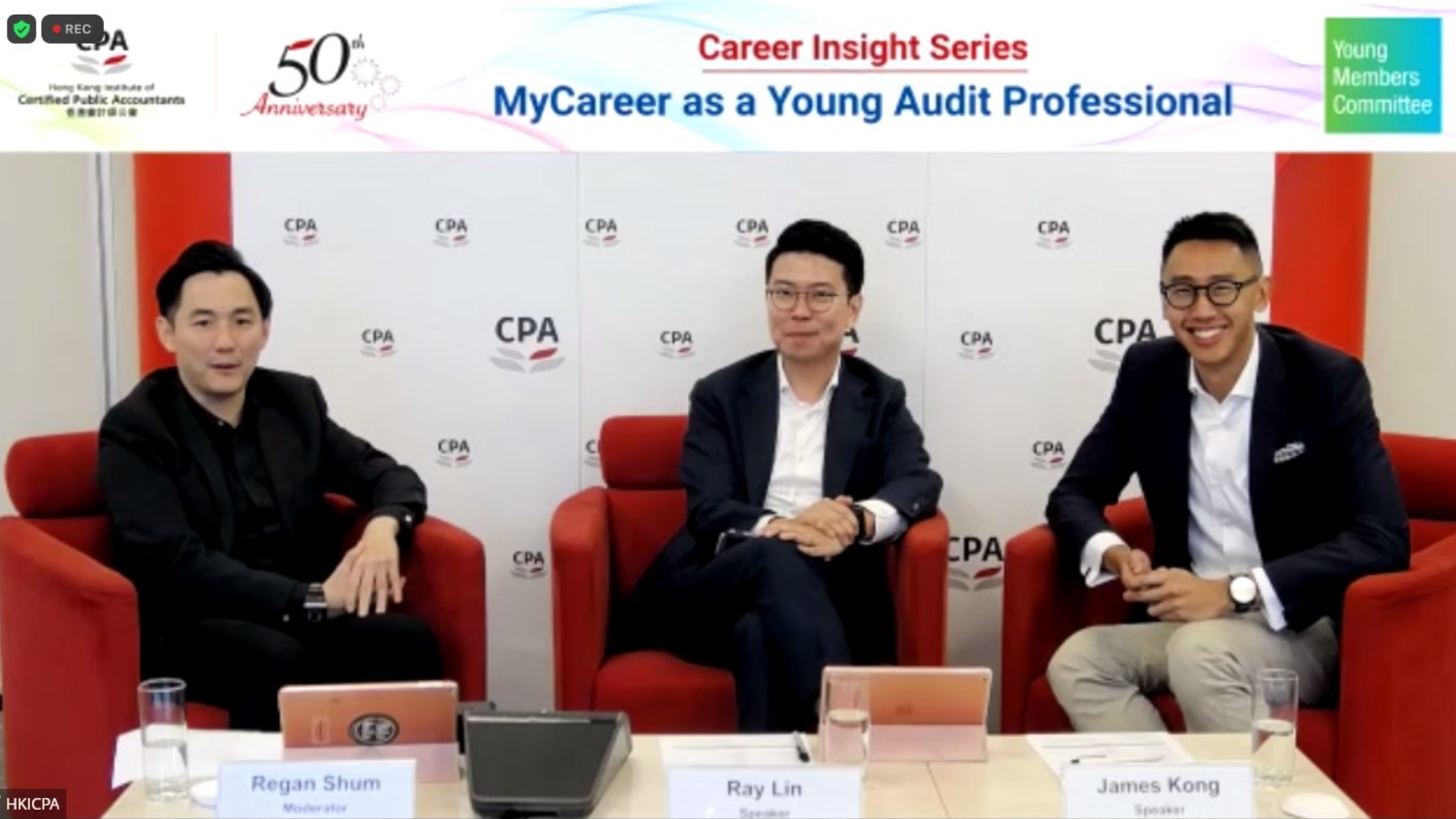 5_Audit Professional