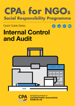Quick Guide_InternalControl&Audit
