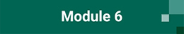 Module 6